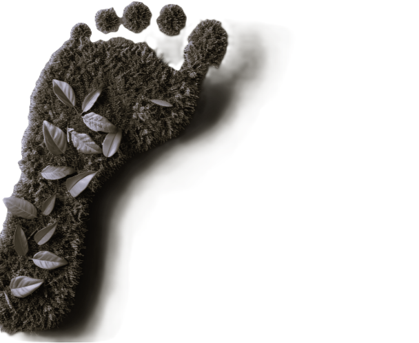 carbon footprint a carbon footprint a